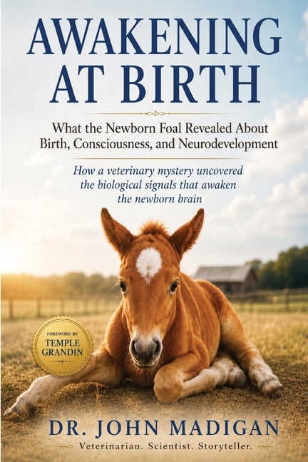 Awakening at Birth: What the Newborn Foal Revealed About Birth ...