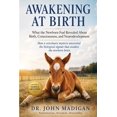 Awakening at Birth: What the Newborn Foal Revealed About Birth ...
