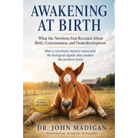 Awakening at Birth: What the Newborn Foal Revealed About Birth ...