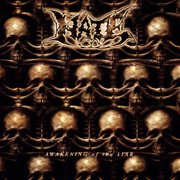 Hate - Awakening of the Liar - Music & Performance - Vinyl