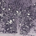 thumbnail image 1 of Awakening, 1 of 1