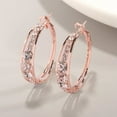 thumbnail image 1 of Awdenio Fashion Women Exaggerated Zircon Temperament Earrings Ear Clips Ladies Jewelry, 1 of 2