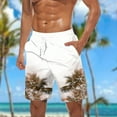 thumbnail image 1 of Awdenio Mens Shorts Big and Tall Swim Trunks Mesh Lining Plus Size Swim Shorts Beach Board Shorts, 1 of 5