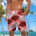 thumbnail image 1 of Awdenio The Big Short Swim Trunks Mesh Liner Volley Shorts Swimming Trunks Bathing Suit Quick Dry, 1 of 4