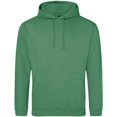 thumbnail image 1 of Awdis  Adult College Hoodie, 1 of 3