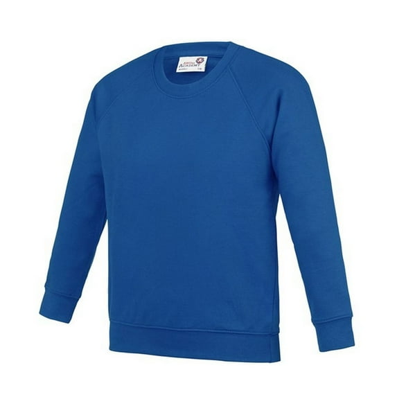 Awdis Boys/Girls Academy Raglan Sweatshirt