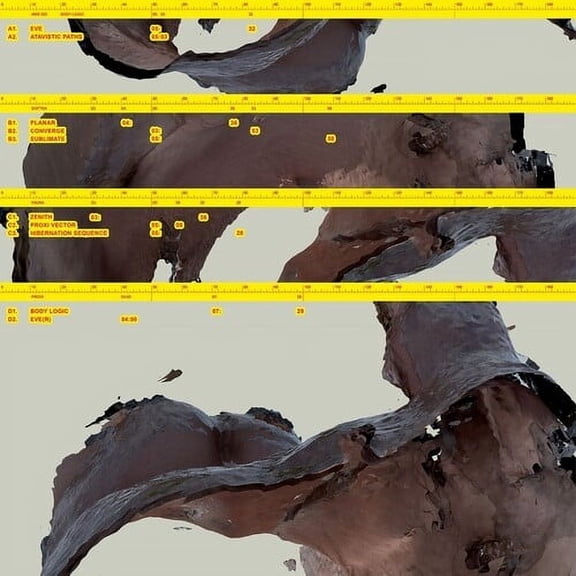 Awe Kid - Body Logic - Music & Performance - Vinyl