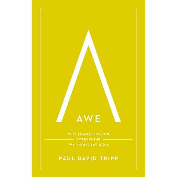 Awe: Why It Matters for Everything We Think, Say, and Do, (Hardcover)
