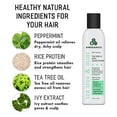 thumbnail image 1 of Aweganics Tea Tree Mint Conditioner - AWE Inspiring Natural Aromatherapy Invigorating Peppermint Conditioners - Cooling, Cleansing, Moisturizing - SLS-Free, Paraben-Free, Cruelty-Free, COLOR SAFE, 1 of 7