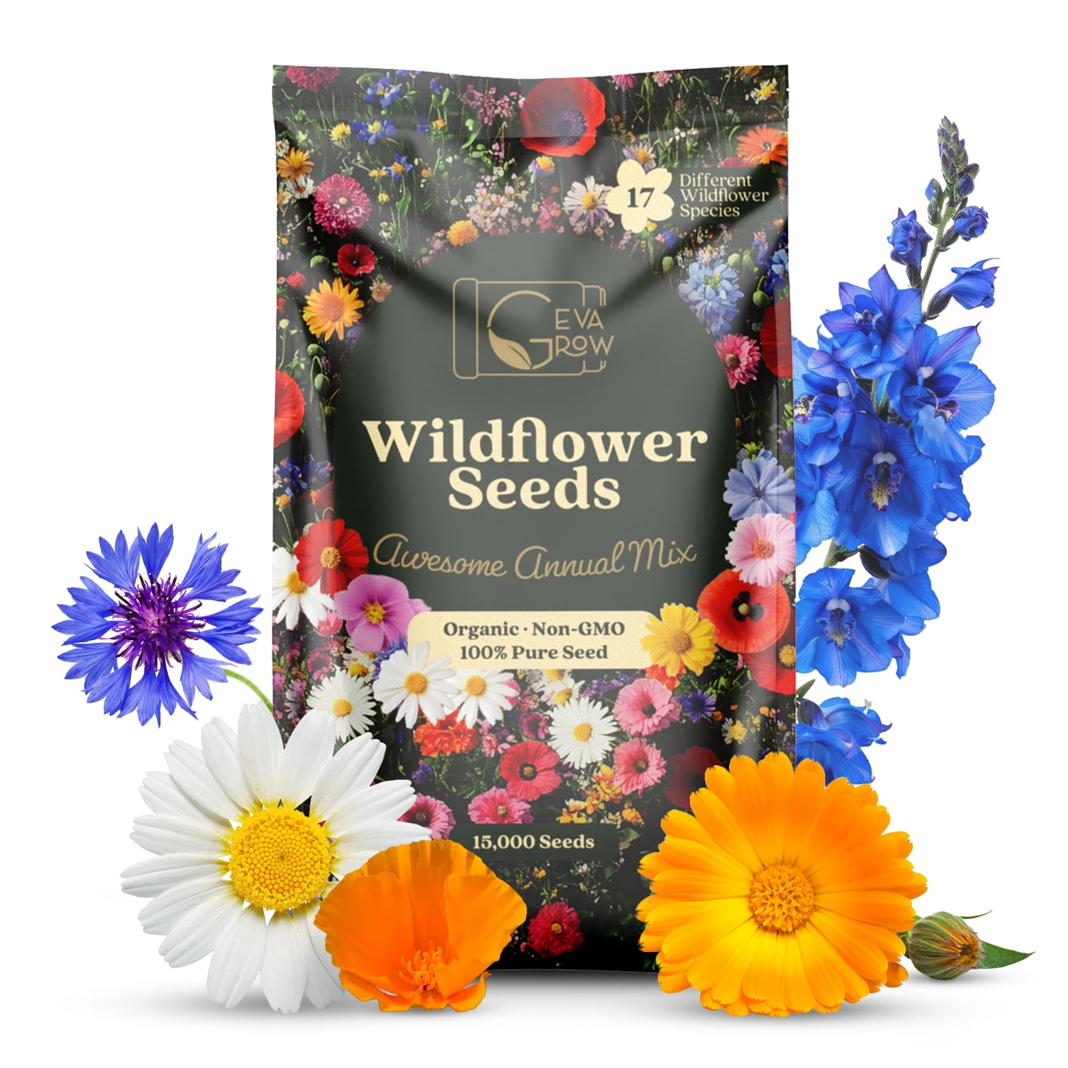 plant nasturtium seeds Dwarf Nasturtium Seeds