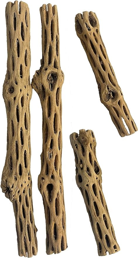 Awesome Aquatic Lange Natuurlijke Cholla/Choya Hout 3 Stuks 12 voor Garnalen Habitat en Voedsel Traktatie Heremietkreeften Plecos Aquarium Decoratie Verlaagt pH Hideouts en Chew Toys Reptielen Biologische