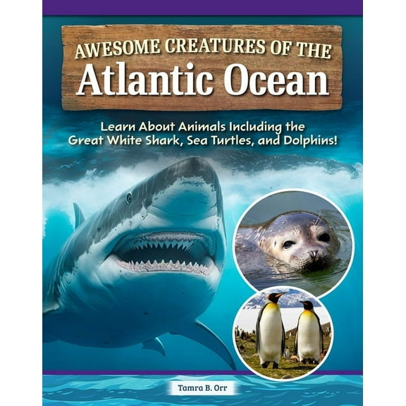 Awesome Creatures of the Atlantic Ocean: Learn about Animals Including the Great White Shark, Sea Turtles, and Dolphins!, (Paperback)