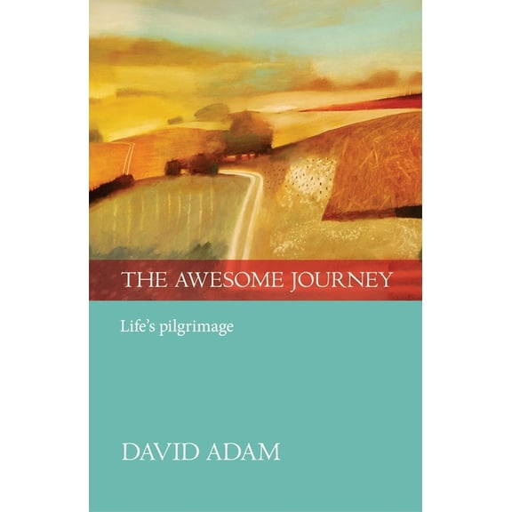 The Awesome Journey, (Paperback)