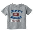 thumbnail image 1 of Awesome Parents New Mom Dad Cute Toddler Boy Girl T Shirt Infant Toddler Brisco Brands 12M, 1 of 6