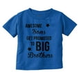 thumbnail image 1 of Awesome Promoted to Big Brother Youth T Shirt Tee Boys Infant Toddler Brisco Brands 12M, 1 of 5