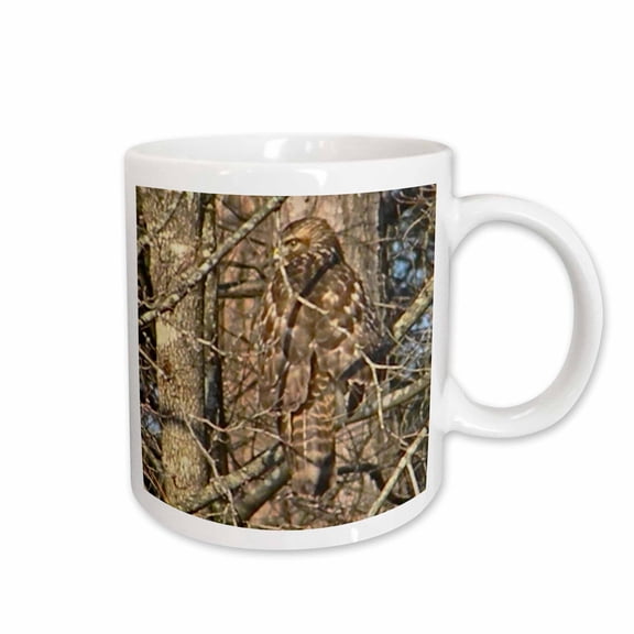 3drose, Awesome Red Shouldered Hawk in Tree Photography, 15oz Mug
