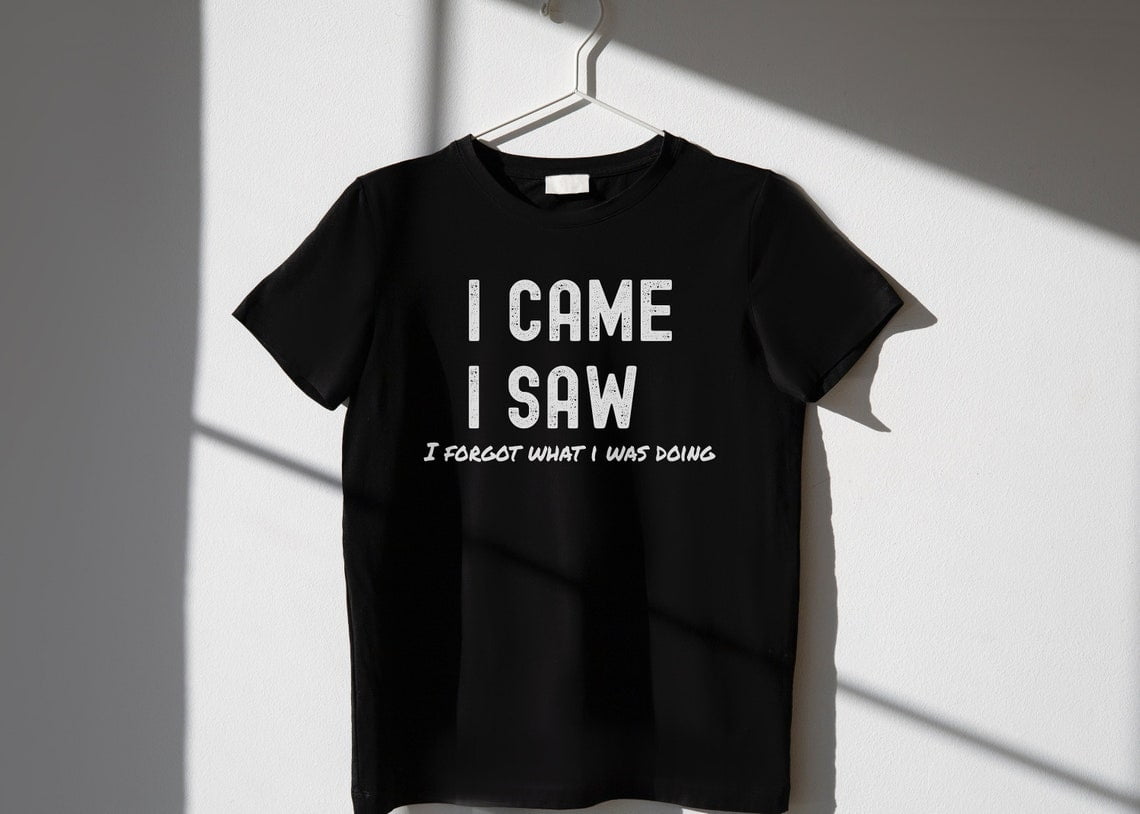 Awkward Shirt, Shirts With Funny Sayings, I Came I Saw TShirts, I
