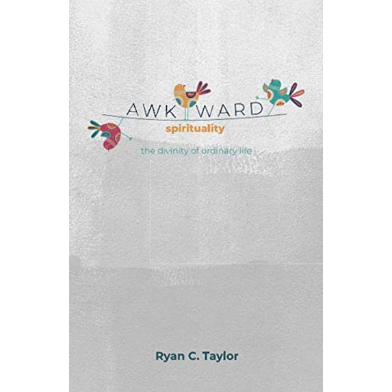 Pre-Owned Awkward Spirituality: The Divinity of Ordinary Life Paperback