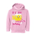 thumbnail image 1 of Awkward Styles 3rd Birthday Hoodie It's My Third Birthday Chick Toddler Hooded Sweatshirt for Girls, 1 of 4