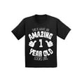 thumbnail image 1 of Awkward Styles Amazing 1st Birthday T-shirt It's My First B-day Baby Shirt Boys Girls This is What an Amazing 1 Year Old Looks Like, 1 of 4
