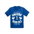 thumbnail image 1 of Awkward Styles Amazing 1st Birthday T-shirt It's My First B-day Baby Shirt Boys Girls This is What an Amazing 1 Year Old Looks Like, 1 of 4