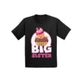 thumbnail image 1 of Awkward Styles Cupcake Shirts Big Sister Youth Shirt T Shirts for Girls Cupcake Clothing Big Sister Collection Funny Gifts for Girls I'm Big Sister Shirt Sis Tshirt for Kids Birthday Gifts for Sister, 1 of 4