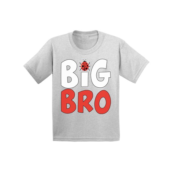 Awkward Styles Cute Ladybug Clothing Ladybug Shirts Big Brother Baby Announcement Youth Shirt for Boys Pregnancy Announcement T Shirt for Kids Big Bro Youth T-Shirt Ladybug Clothes Collection