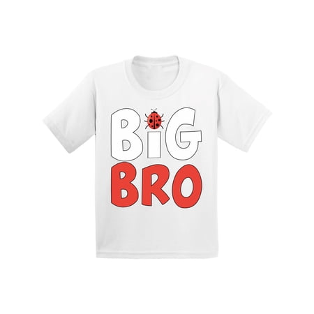 Awkward Styles Cute Ladybug Clothing Ladybug Shirts Big Brother Baby Announcement Youth Shirt for Boys Pregnancy Announcement T Shirt for Kids Big Bro Youth T-Shirt Ladybug Clothes Collection
