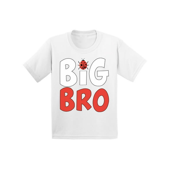 Awkward Styles Cute Ladybug Clothing Ladybug Shirts Big Brother Baby Announcement Youth Shirt for Boys Pregnancy Announcement T Shirt for Kids Big Bro Youth T-Shirt Ladybug Clothes Collection