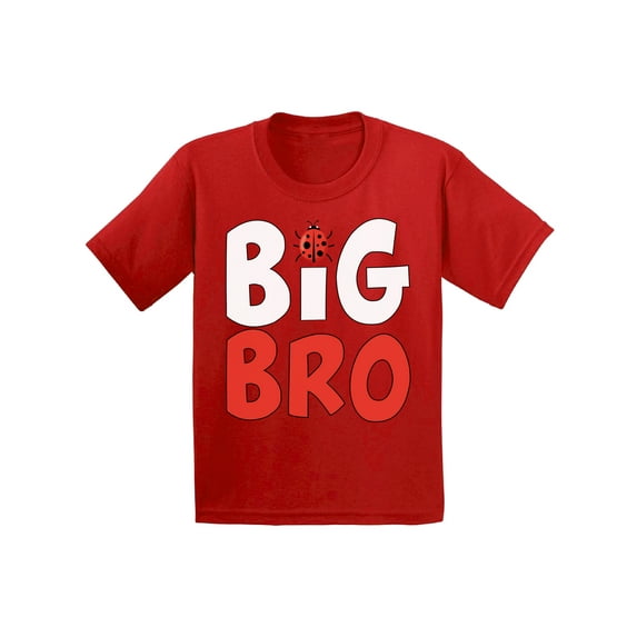 Awkward Styles Cute Ladybug Clothing Ladybug Shirts Big Brother Baby Announcement Youth Shirt for Boys Pregnancy Announcement T Shirt for Kids Big Bro Youth T-Shirt Ladybug Clothes Collection