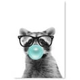 thumbnail image 1 of Awkward Styles Cute Raccoon Poster Decor Bubble Gum Unframed Poster Print Raccoon Gifts for Kids Room Decor Raccoon Poster Wall Art Gum Art Collection Animal Blow Bubble Gum Funny Animal Wall Art, 1 of 4