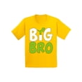 thumbnail image 1 of Awkward Styles Dinosaur Clothing Big Brother Shirt Pregnancy Reveal Youth Shirt for Boys Baby Announcement Collection Dinosaur Youth Shirt Dino Shirt for Boys Big Bro T-Shirt T Rex Shirts for Boys, 1 of 4