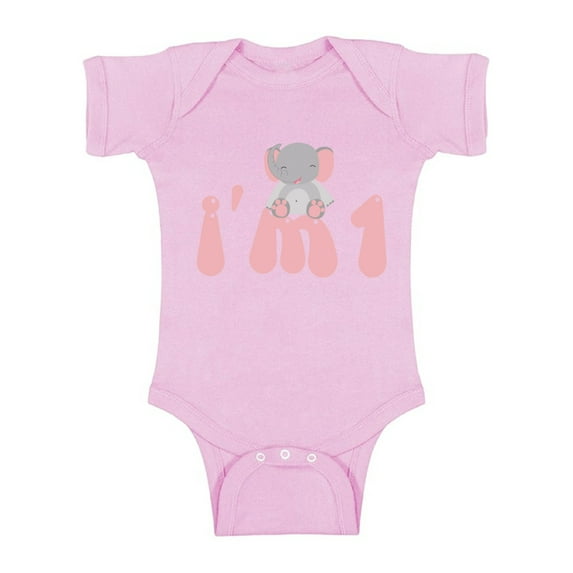 Awkward Styles First Birthday Animal Themed Party Elephant 1st B Day One Piece Baby Birthday Elephant Bodysuit Elephant Outfit for Baby Boy and Baby Girl Elephant Birthday Gifts Newborn Baby Girl Clot