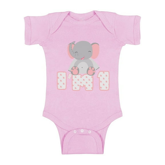 Awkward Styles First Birthday Baby Bodysuit Short Sleeve Gifts for 1st Birthday I'm One Birthday Outfit for Baby Girl One Birthday Party Cute Elephant Baby Girl One Piece Top Baby Shower Gifts