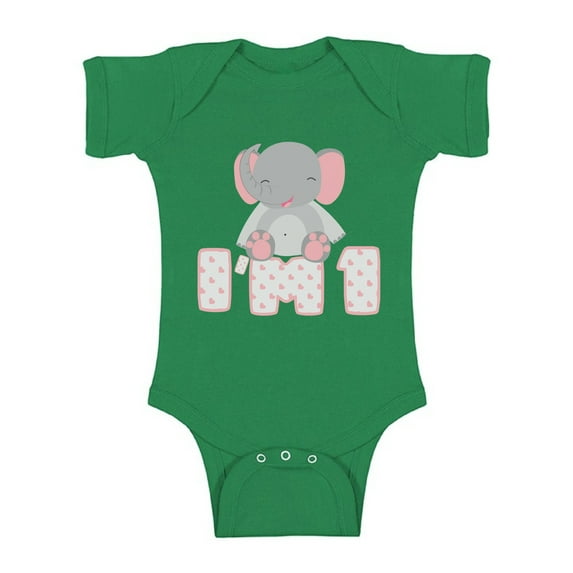 Awkward Styles First Birthday Baby Bodysuit Short Sleeve Gifts for 1st Birthday I'm One Birthday Outfit for Baby Girl One Birthday Party Cute Elephant Baby Girl One Piece Top Baby Shower Gifts
