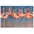 thumbnail image 1 of Awkward Styles Flamingo Printed Wall Decor Flamingo Poster Decor Ideas Unframed Art Picture Home Decor Ideas Unique Decor Gifts Flamingo Room Decor Beautiful Flamingo Picture Pink Room Wall Art, 1 of 3
