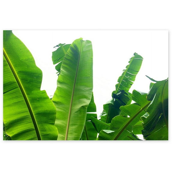 Awkward Styles Green Leaves Poster Wall Decor for Bedroom Inspirational Poster Prints Foliage Room Decor Green Grass Unframed Art Inspirational Vinyl Art Beautiful Nature Art Home Decor Ideas