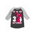 thumbnail image 1 of Awkward Styles It is My 3rd Birthday T-shirt Pink Bunny Toddler Raglan Shirt Birthday Girl Tee, 1 of 4