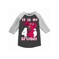 thumbnail image 1 of Awkward Styles It is My 4th Birthday T-shirt Pink Bunny Toddler Raglan Shirt Birthday Girl Tee, 1 of 4