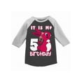 thumbnail image 1 of Awkward Styles It is My 5th Birthday T-shirt Pink Bunny Toddler Raglan Shirt Birthday Girl Tee, 1 of 4