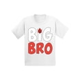 thumbnail image 1 of Awkward Styles Little Ladybug Clothing Ladybug Shirts Big Brother Baby Announcement Infant Shirt for Boys Pregnancy Announcement T Shirt for Kids Big Bro Infant T-Shirt Ladybug Clothes Collection, 1 of 4