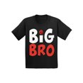 thumbnail image 1 of Awkward Styles Little Ladybug Clothing Ladybug Shirts Big Brother Baby Announcement Infant Shirt for Boys Pregnancy Announcement T Shirt for Kids Big Bro Infant T-Shirt Ladybug Clothes Collection, 1 of 4