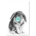 thumbnail image 1 of Awkward Styles Lovely Bunny Poster Photo Artwork Blue Gum Animal Gift Bunny Chewing Blue Bubble Gum Animal Poster Wall Art Digital Collage for Room Decor Made in USA Fine Art Print Animal Printed Art, 1 of 3