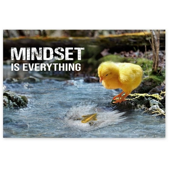 Awkward Styles Motivational Posters Teamwork Inspirational Posters for Entrepreneurs Motivational Quote Poster Classroom Posters Mindset is Everything Chicken Wall Art Optimistic Inspirational Poster