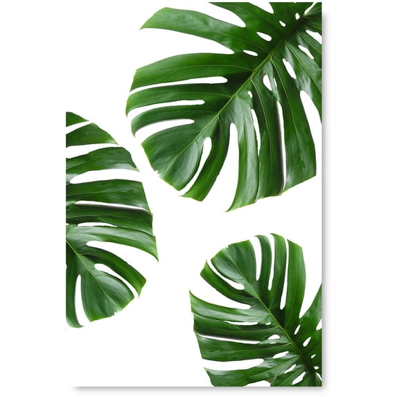 Awkward Styles Palm Leaves Poster Art Green Plants Poster Wall Decor Inspirational Poster Prints for Office Foliage Decor Green Grass Inspirational Vinyl Art Beautiful Nature Art Home Decor Ideas