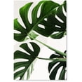 thumbnail image 1 of Awkward Styles Printed Art Poster Wall Decor for Bedroom Inspirational Poster Prints Foliage Room Decor Green Grass Unframed Art Inspirational Vinyl Art Beautiful Nature Art Home Decor Ideas, 1 of 3