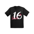 thumbnail image 1 of Awkward Styles Sweet 16 T Shirt for Youth Sweet Sixteen Shirts for Girls Birthday Girl Shirt Birthday Gifts for Teens I am 16 T-Shirt for Her Sweet 16 Party Clothing Pink Prints Teen Party, 1 of 4