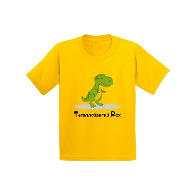 Awkward Styles Tyrannosaurus Rex Dinosaur Youth Shirt Kids Dinosaur Shirt Tyrannosaurus Rex Tshirt Dinosaur Birthday Party Dinosaur Gifts for Boys Cute Dinosaur Outfit for Girls Dinosaur Clothes