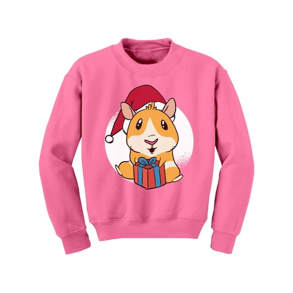 Awkward Styles Christmas Sweater for Boys Girls Kids Youth Xmas Guinea Pig Sweatshirt
