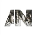 thumbnail image 1 of Awolnation - Run - Rock - CD, 1 of 1